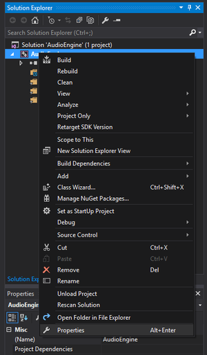 Visual Studio Project Properties